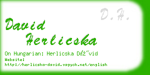 david herlicska business card